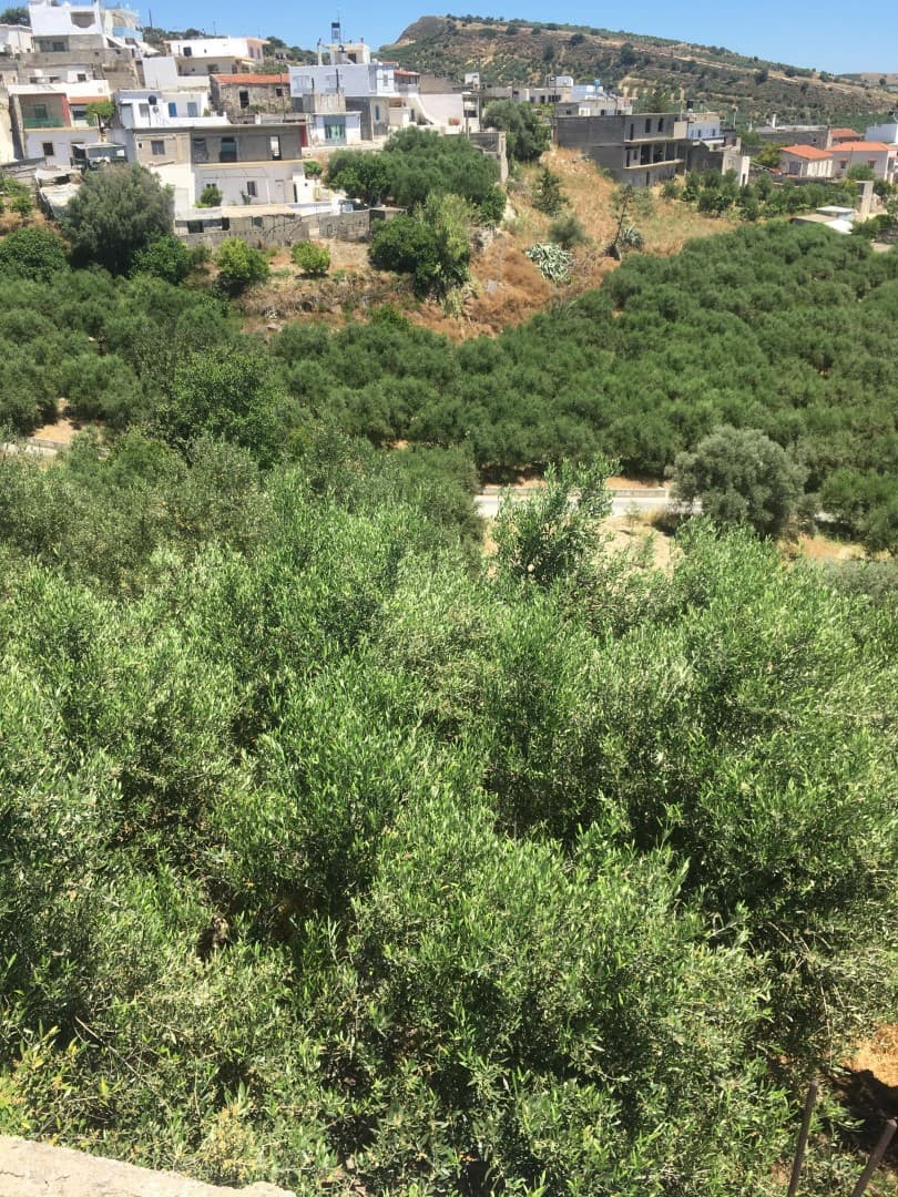 Αμφιθεατρικό Οικόπεδο 1.400 τ.μ. Εντός Οικισμού με Δόμηση 400 τ.μ., φωτογραφία 1