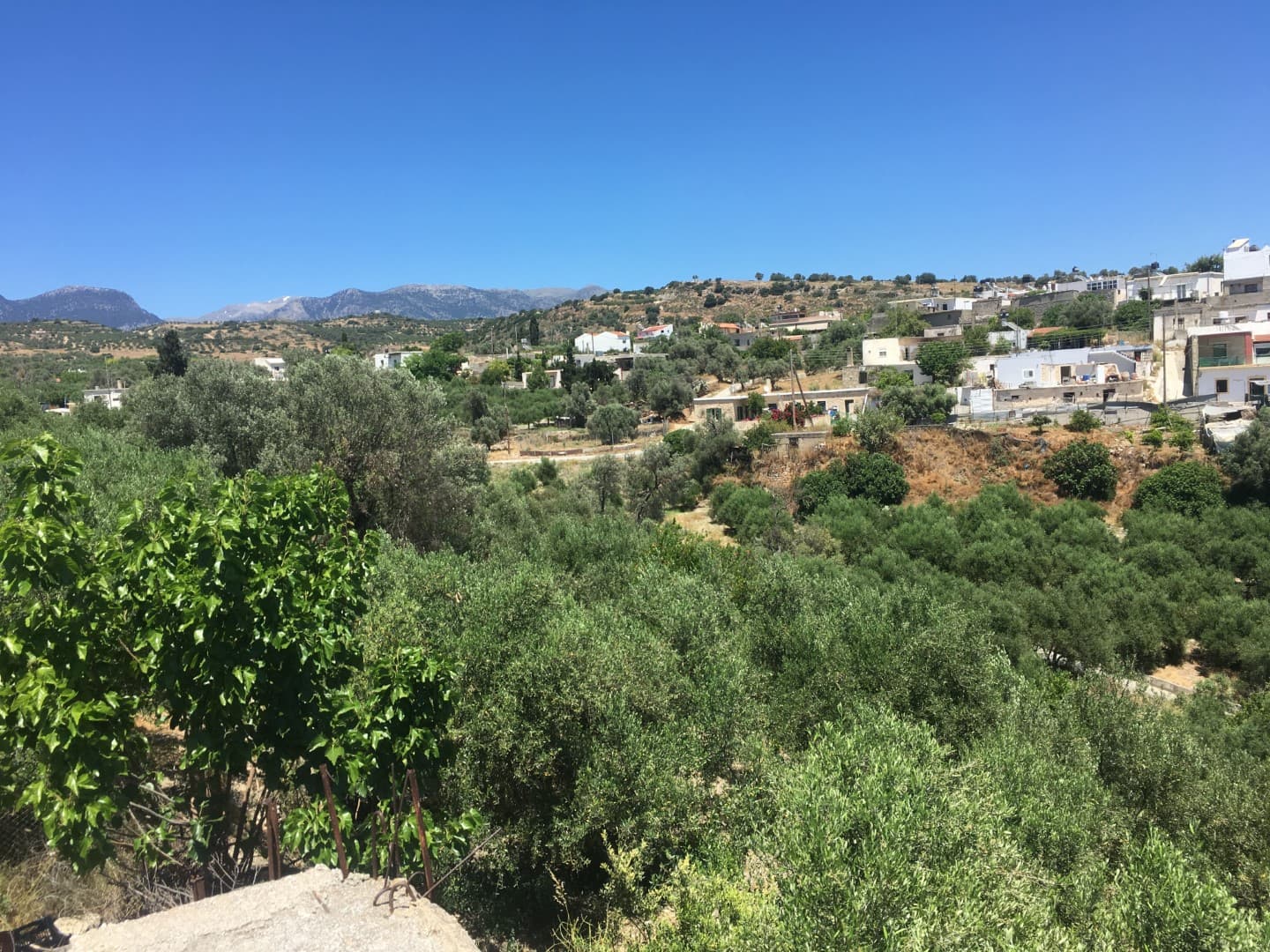 Αμφιθεατρικό Οικόπεδο 1.400 τ.μ. Εντός Οικισμού με Δόμηση 400 τ.μ., φωτογραφία 2