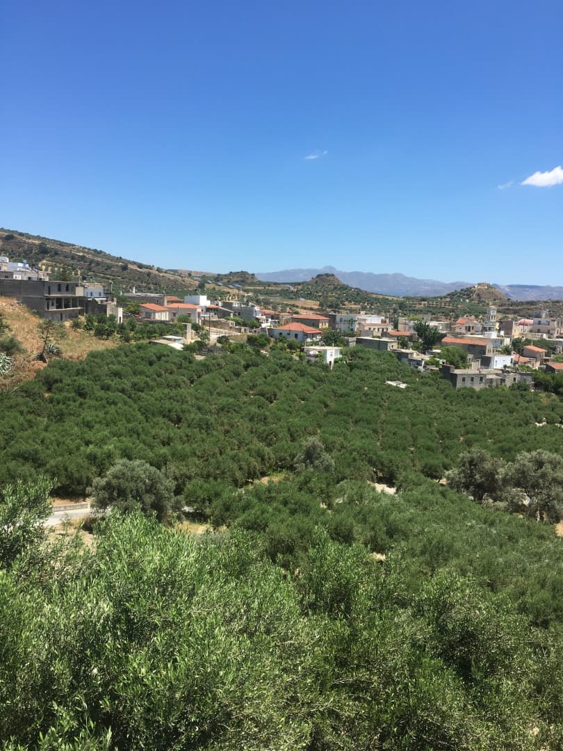 Αμφιθεατρικό Οικόπεδο 1.400 τ.μ. Εντός Οικισμού με Δόμηση 400 τ.μ.