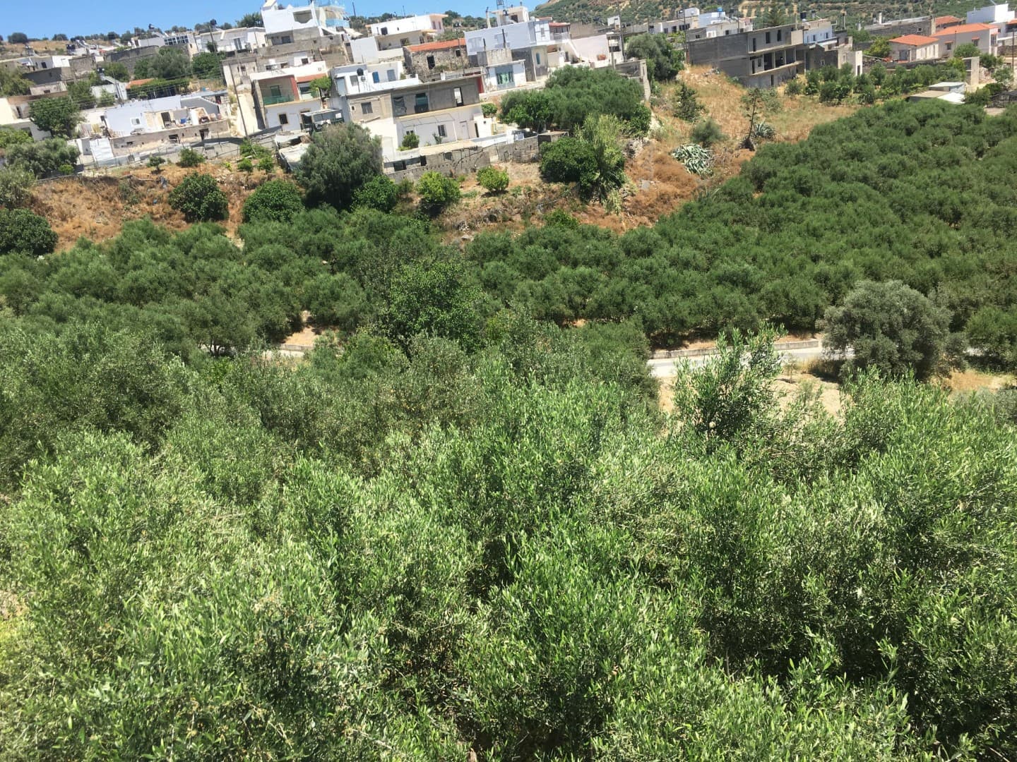 Αμφιθεατρικό Οικόπεδο 1.400 τ.μ. Εντός Οικισμού με Δόμηση 400 τ.μ., φωτογραφία 3